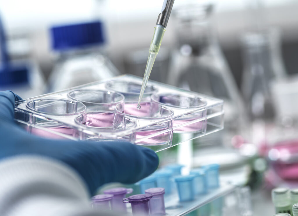 Cell Research, Scientist pipetting a sample into a multi well plate contains cell cultures during an experiment in the lab.